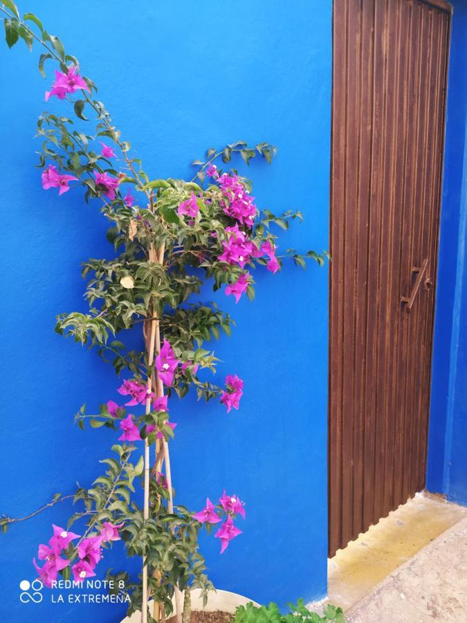 Hacienda La Extremena Apartment Guimar Ngoại thất bức ảnh